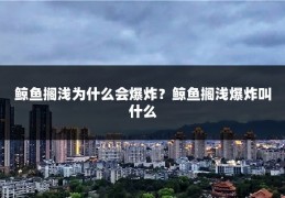 鲸鱼搁浅为什么会爆炸？鲸鱼搁浅爆炸叫什么