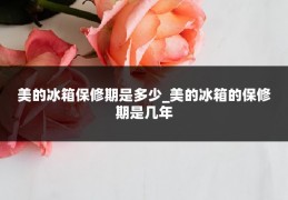 美的冰箱保修期是多少_美的冰箱的保修期是几年