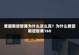 爱因斯坦智商为什么这么高?为什么爱因斯坦智商160