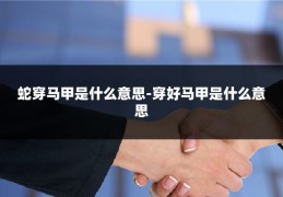 蛇穿马甲是什么意思-穿好马甲是什么意思