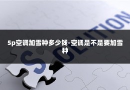 5p空调加雪种多少钱-空调是不是要加雪种