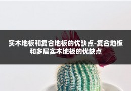 实木地板和复合地板的优缺点-复合地板和多层实木地板的优缺点