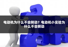 电动机为什么不会转动?电动机小实验为什么不会转动