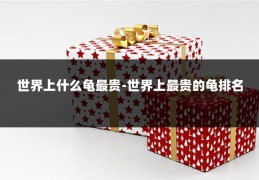 世界上什么龟最贵-世界上最贵的龟排名