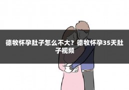 德牧怀孕肚子怎么不大？德牧怀孕35天肚子视频