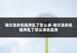 海尔洗衣机程序乱了怎么调-海尔洗衣机程序乱了怎么调总是洗