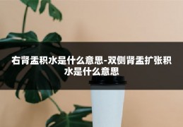 右肾盂积水是什么意思-双侧肾盂扩张积水是什么意思