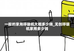 一般的家用呼吸机大概多少钱_无创呼吸机家用多少钱