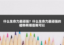 什么生命力最顽强?什么生命力最顽强的植物有哪些我可以