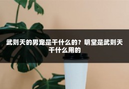 武则天的男宠是干什么的?明堂是武则天干什么用的