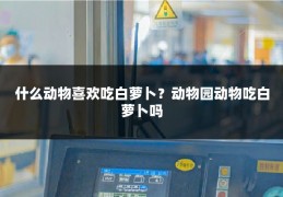 什么动物喜欢吃白萝卜?动物园动物吃白萝卜吗
