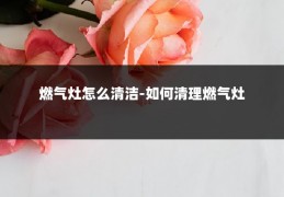 燃气灶怎么清洁-如何清理燃气灶