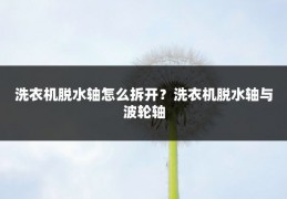 洗衣机脱水轴怎么拆开?洗衣机脱水轴与波轮轴