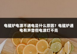 电磁炉电源不通电是什么原因?电磁炉通电有声音但电源灯不亮