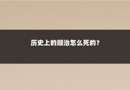 历史上的顺治怎么死的？