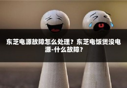 东芝电源故障怎么处理?东芝电饭煲没电源-什么故障?