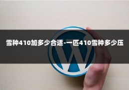 雪种410加多少合适-一匹410雪种多少压