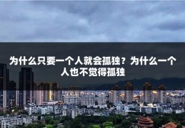 为什么只要一个人就会孤独？为什么一个人也不觉得孤独