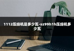 1112压缩机是多少瓦-sz99h1h压缩机多少瓦