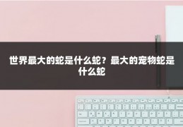 世界最大的蛇是什么蛇？最大的宠物蛇是什么蛇