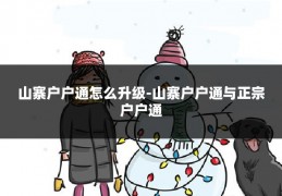 山寨户户通怎么升级-山寨户户通与正宗户户通