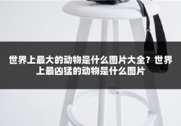 世界上最大的动物是什么图片大全?世界上最凶猛的动物是什么图片