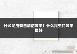 什么昆虫有自清洁效果？什么昆虫钓效果最好