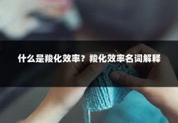 什么是羧化效率?羧化效率名词解释