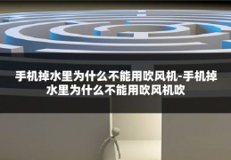手机掉水里为什么不能用吹风机-手机掉水里为什么不能用吹风机吹