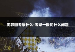 向韩国考察什么-考察一般问什么问题