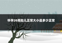 怀孕20周胎儿正常大小是多少正常