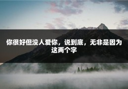 你很好但没人爱你，说到底，无非是因为这两个字