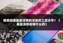 我想知道基层法院的法官的工资水平？（基层法律是做什么的）