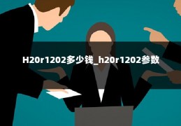 H20r1202多少钱_h20r1202参数