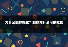 为什么蜘蛛吃蛇？蜘蛛为什么可以吃蛇