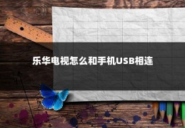 乐华电视怎么和手机USB相连