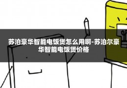苏泊豪华智能电饭煲怎么用啊-苏泊尔豪华智能电饭煲价格