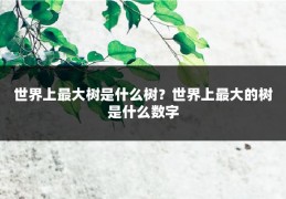 世界上最大树是什么树?世界上最大的树是什么数字