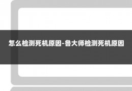 怎么检测死机原因-鲁大师检测死机原因