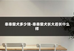 串串柴犬多少钱-串串柴犬长大后长什么样