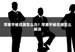 苹果平板花屏怎么办?苹果平板花屏怎么解决