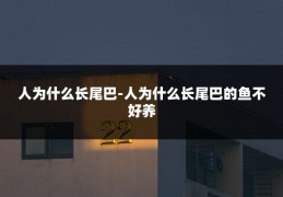 人为什么长尾巴-人为什么长尾巴的鱼不好养