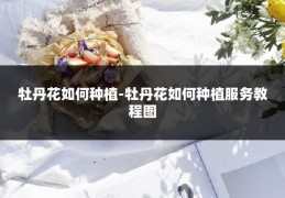 牡丹花如何种植-牡丹花如何种植服务教程图