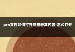 prn文件如何打开或查看其内容-怎么打开