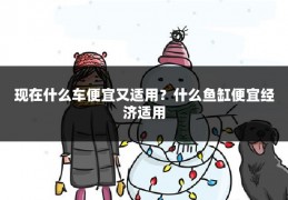 现在什么车便宜又适用?什么鱼缸便宜经济适用