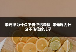 朱元璋为什么不传位给朱棣-朱元璋为什么不传位给儿子