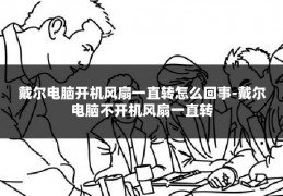 戴尔电脑开机风扇一直转怎么回事-戴尔电脑不开机风扇一直转