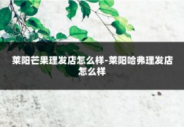 莱阳芒果理发店怎么样-莱阳哈弗理发店怎么样