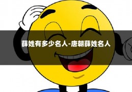 薛姓有多少名人-唐朝薛姓名人