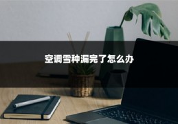 空调雪种漏完了怎么办